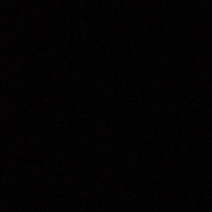 Meet your Posher, Lil